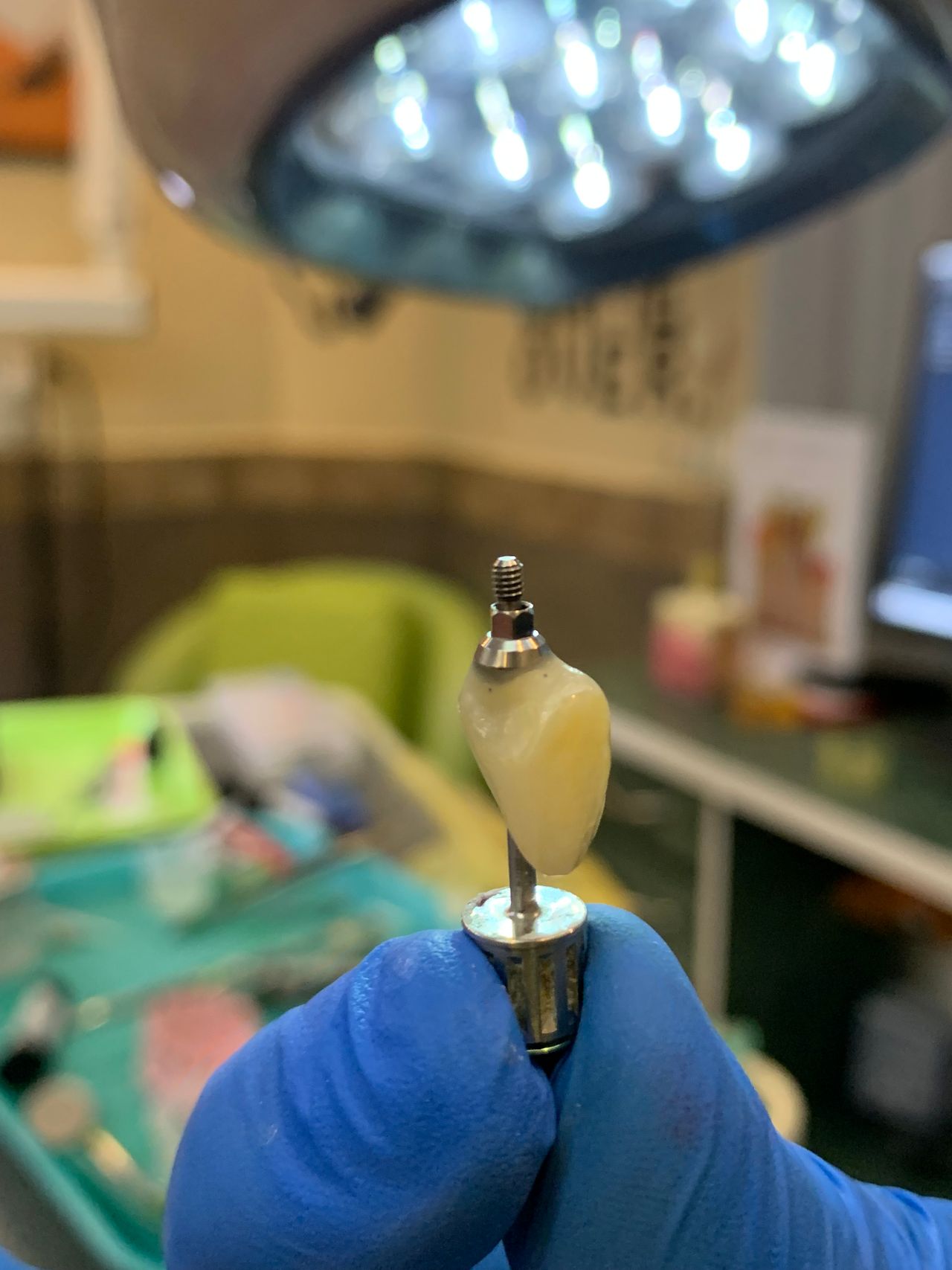 Alberto Miguel Rodriguez Soto-12