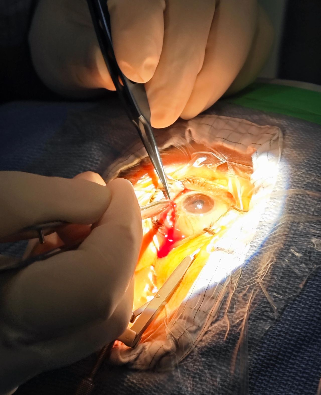 Veronica Yackeline Vega Delgadillo-11