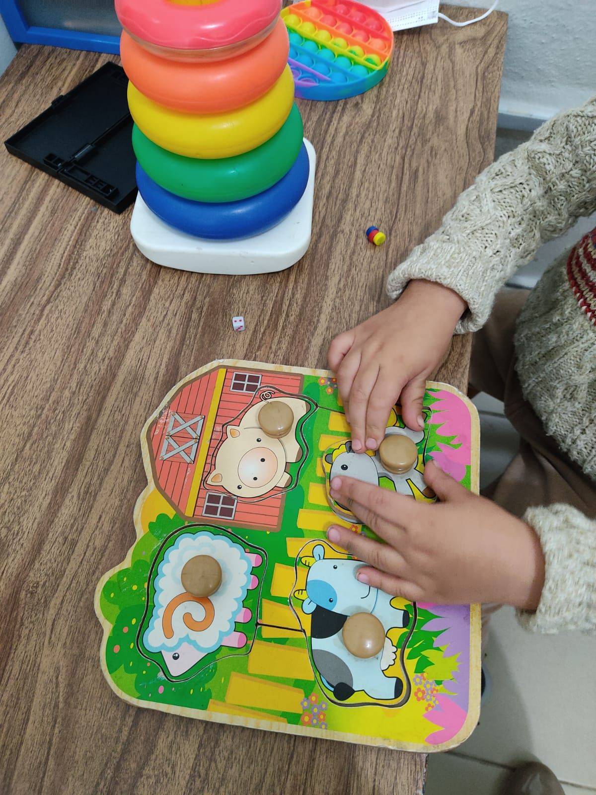 Elizabeth Castañeda González-17