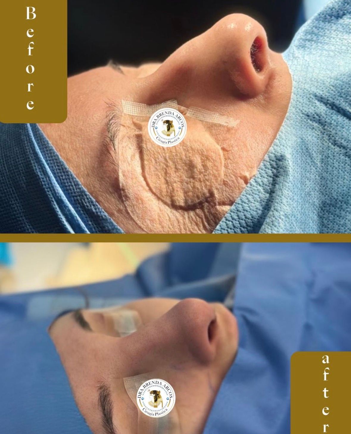 Brenda Arcos Vera-29