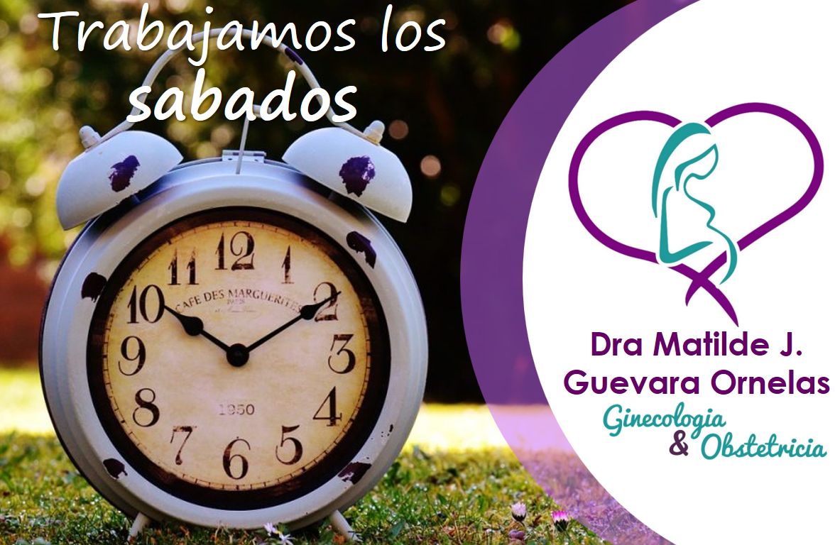 Matilde José Guevara Ornelas-7