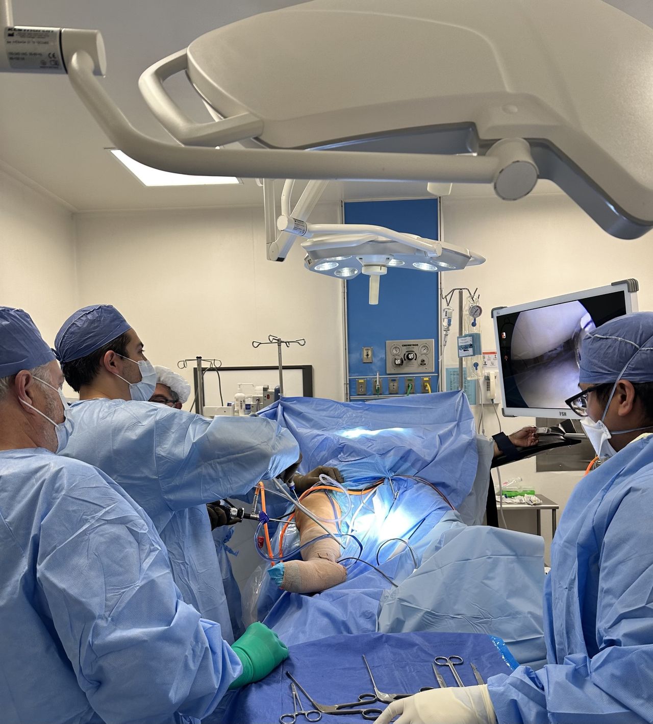 Daniel Romero Planter-4