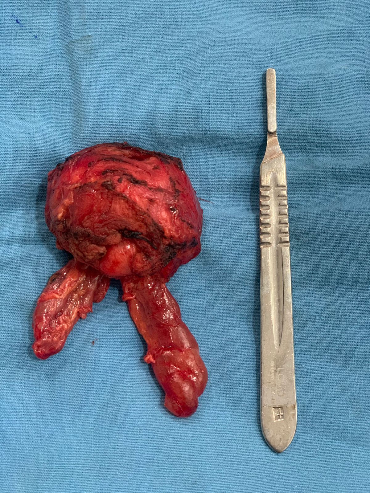 Marco Antonio Sillas Martínez-4