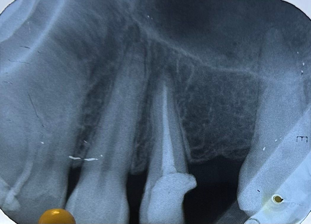 Fernanda Pérez Murrieta-4