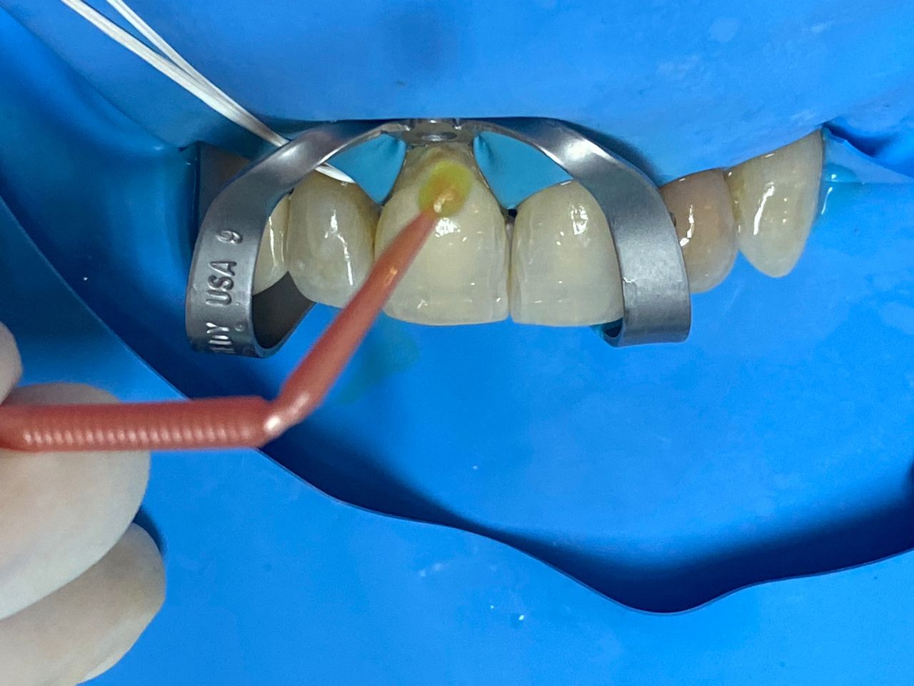 Cecilia Lopez Campa-11