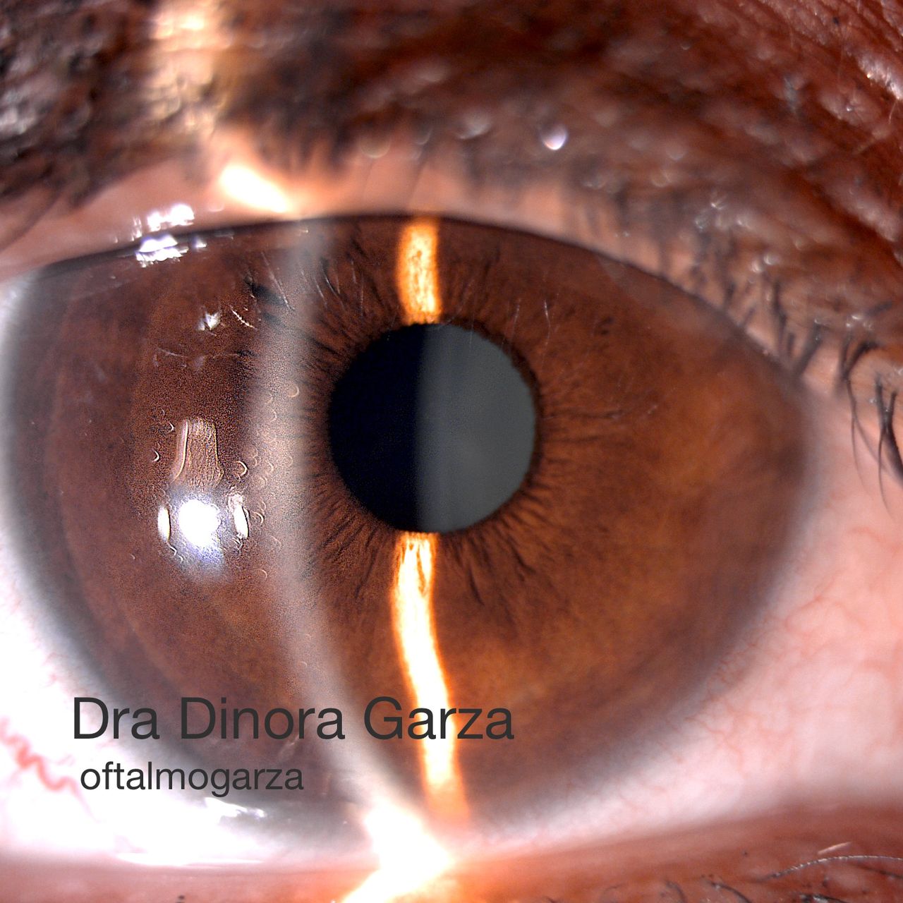 Dinora Garza Leal-49