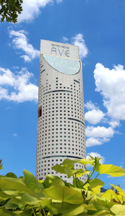 Karen Hutchinson Segura-2