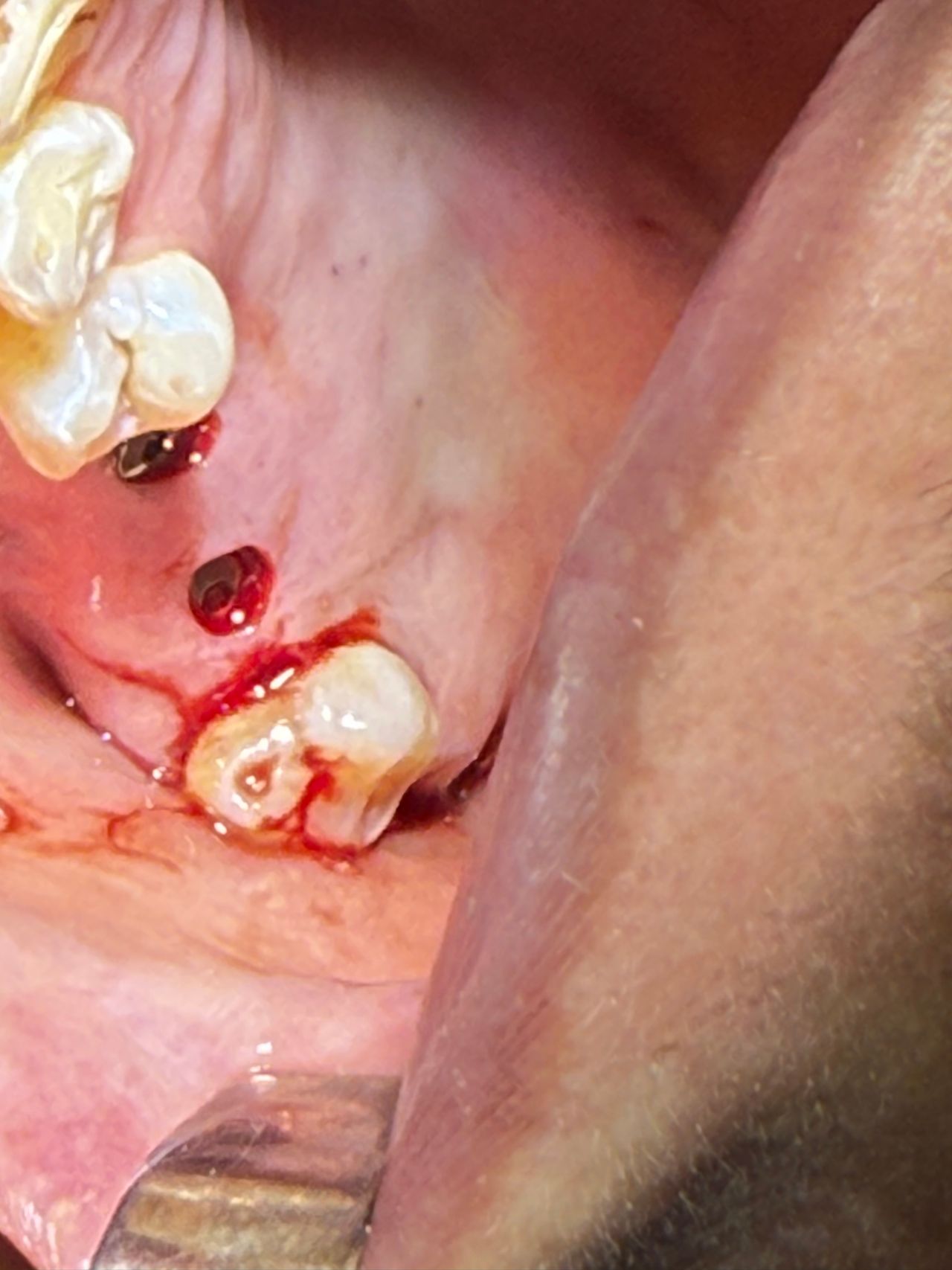 Eduardo López Méndez-62