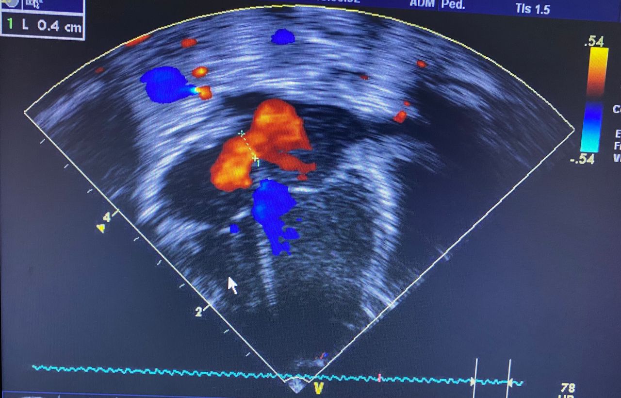 Vanessa Cruz Rodríguez-9