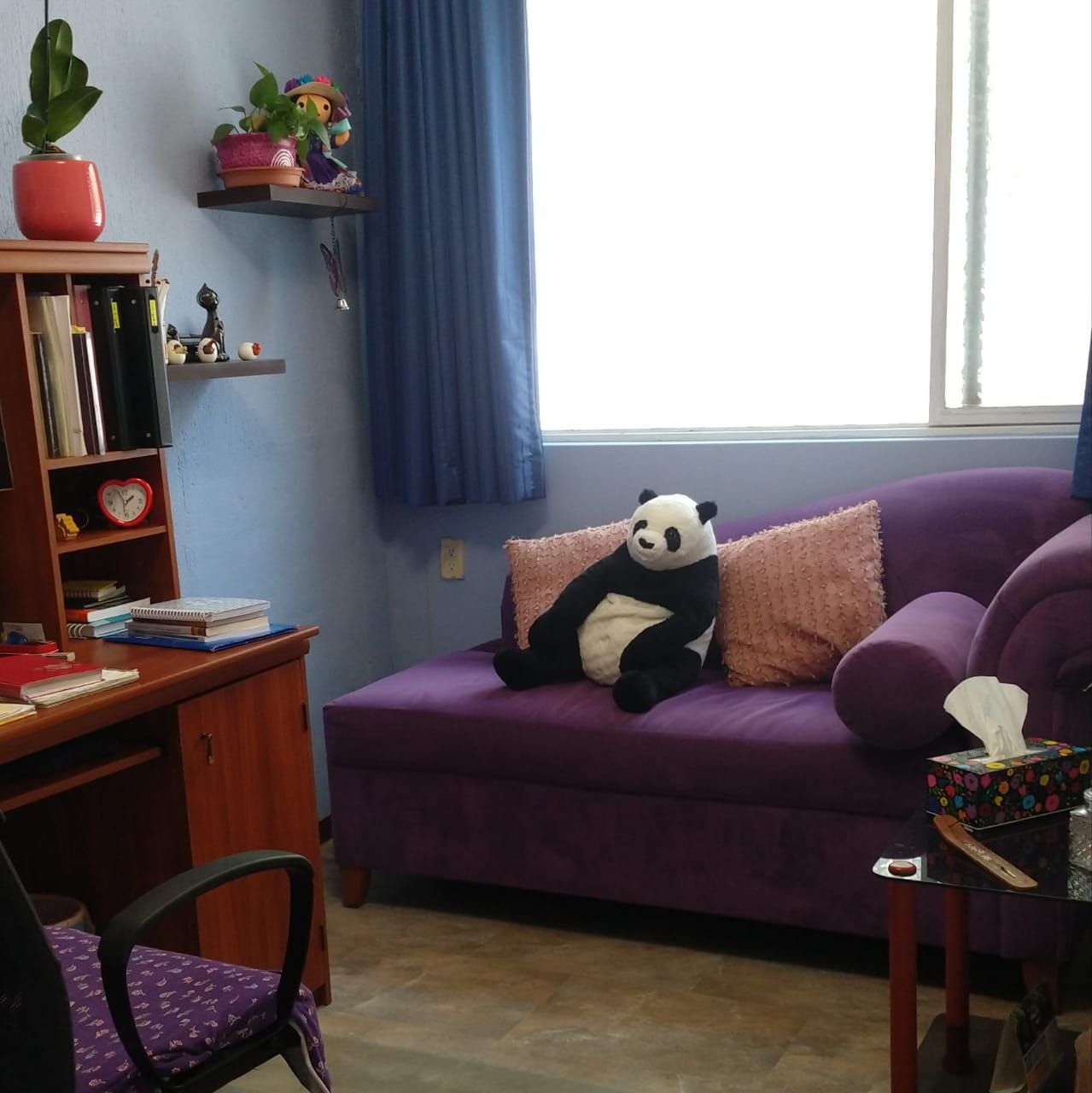 Guillermina Ambriz Laguna-0