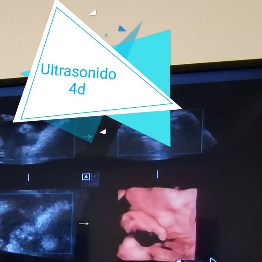 Daniel Pérez Suárez-12