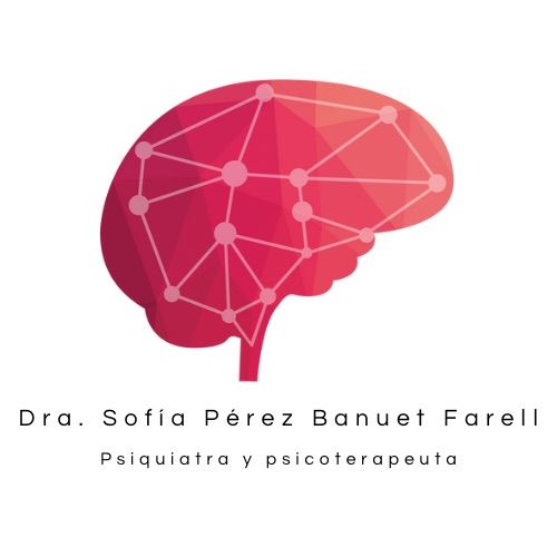 Sofía Pérez Banuet Farell-3