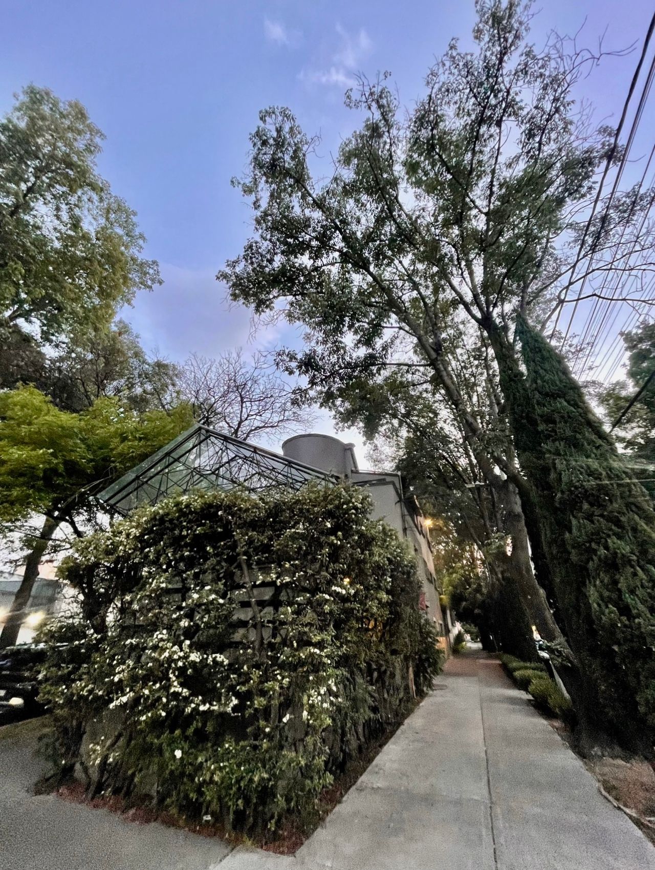 Paola Acevedo Quezada-9