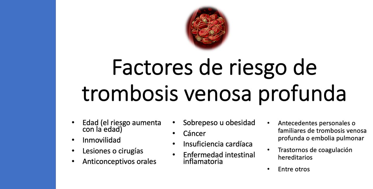 Araceli Leal Alanís-8