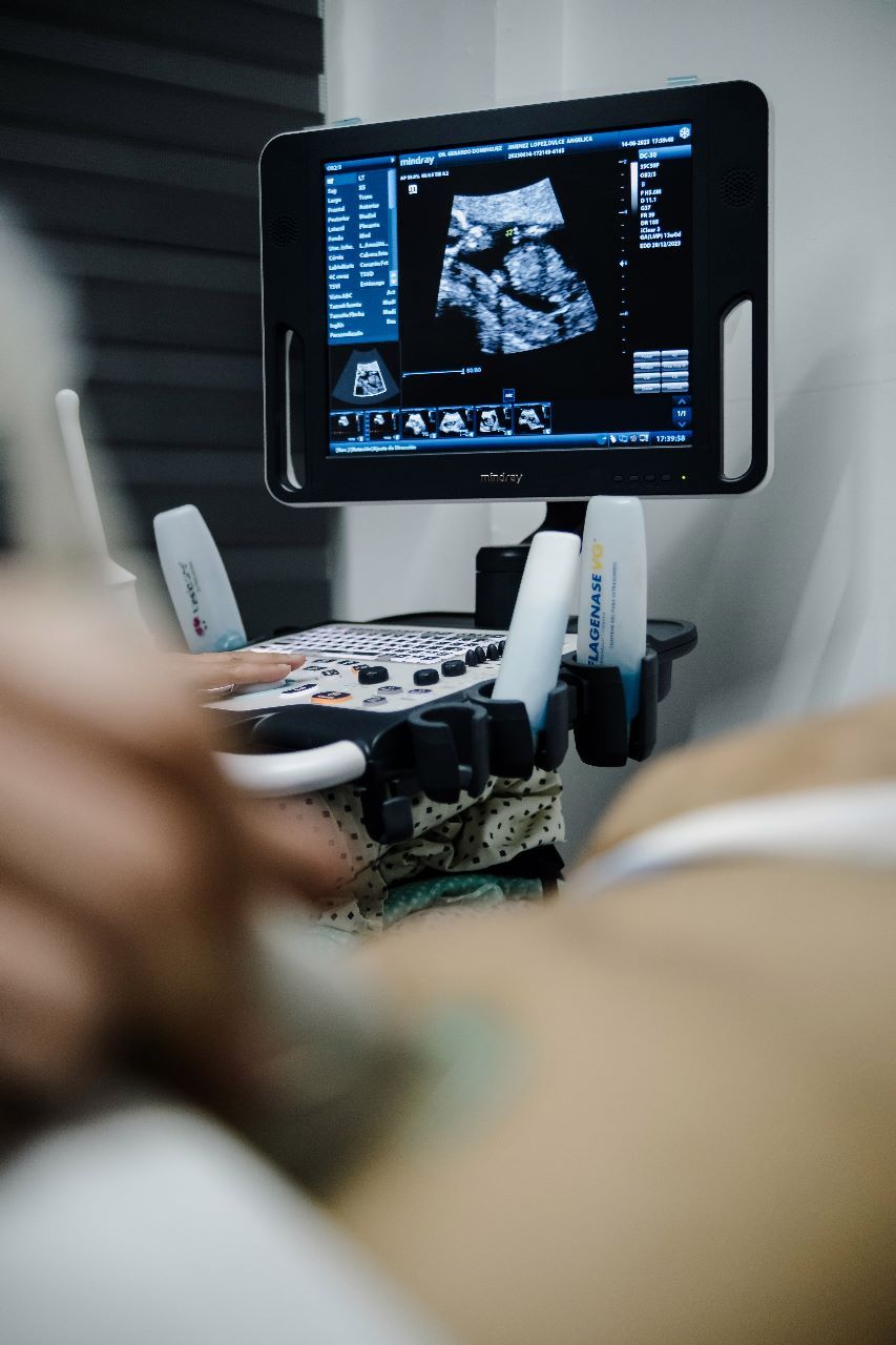 Gerardo Domínguez Lozano-1