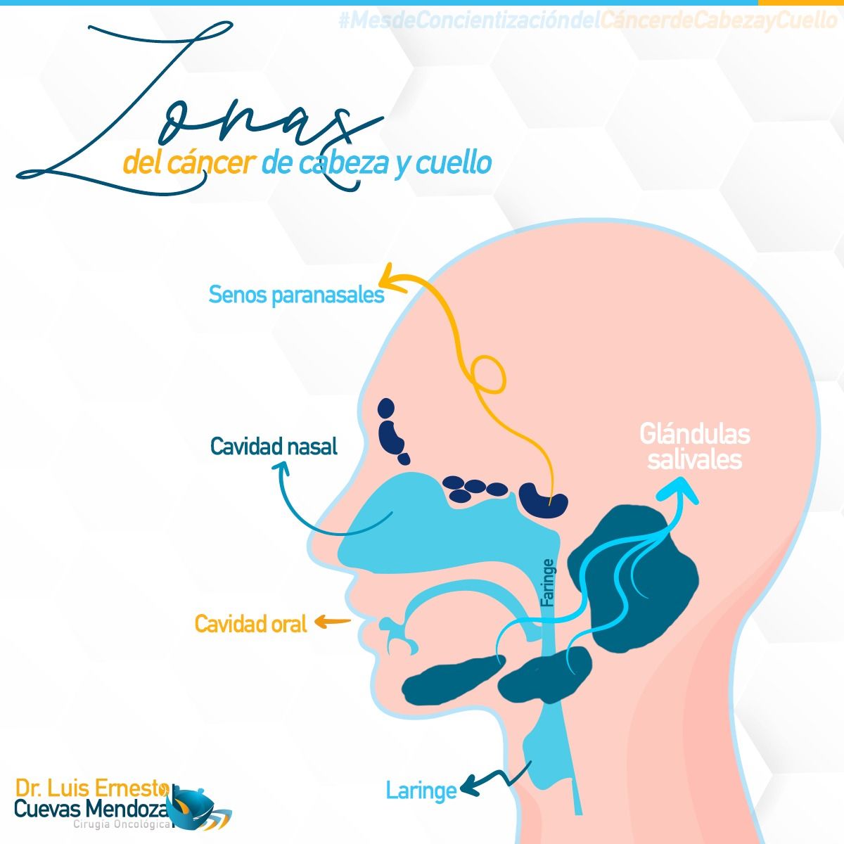 Luis Ernesto Cuevas Mendoza-254