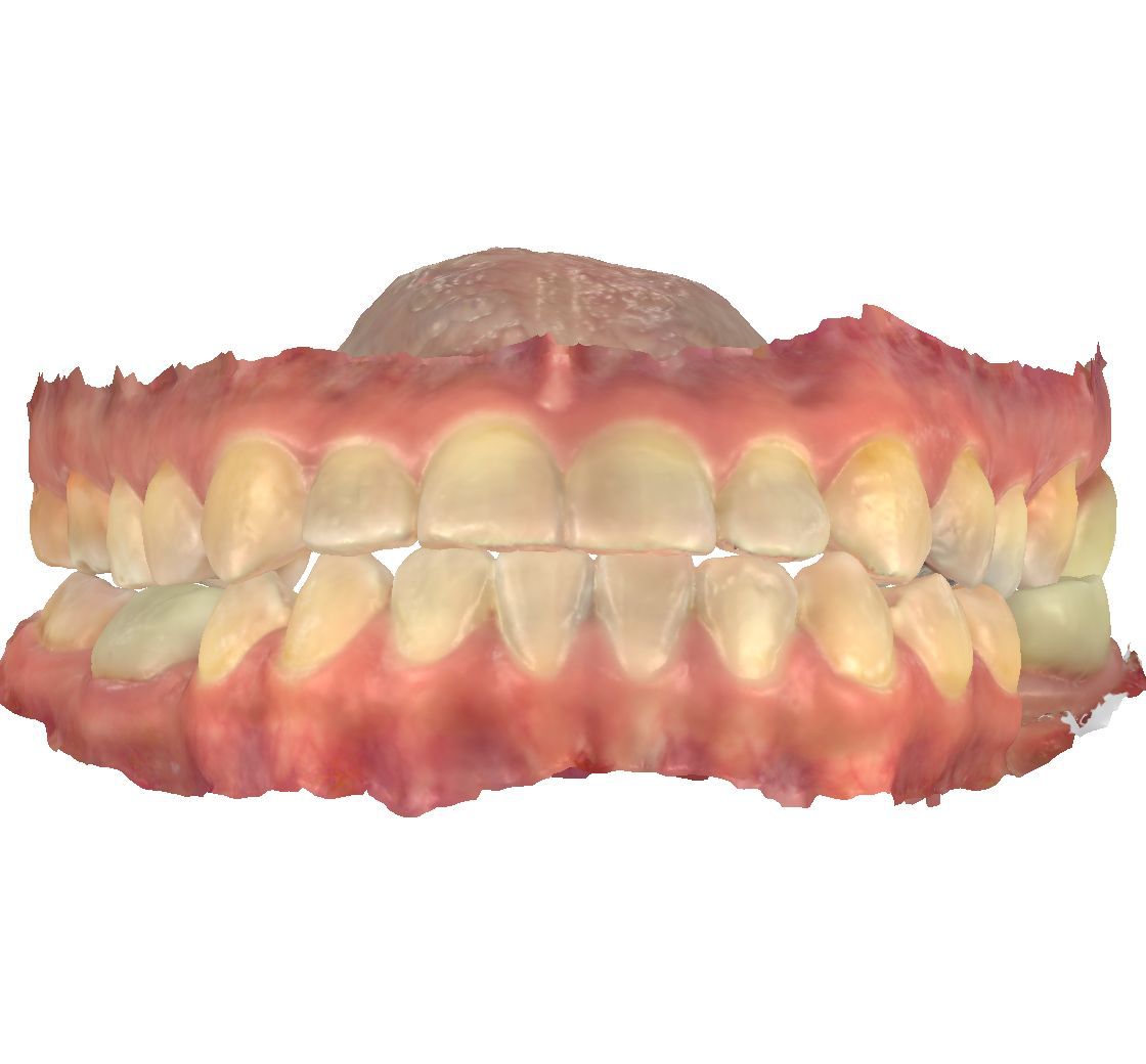 Irlanda Díaz Cardona-13