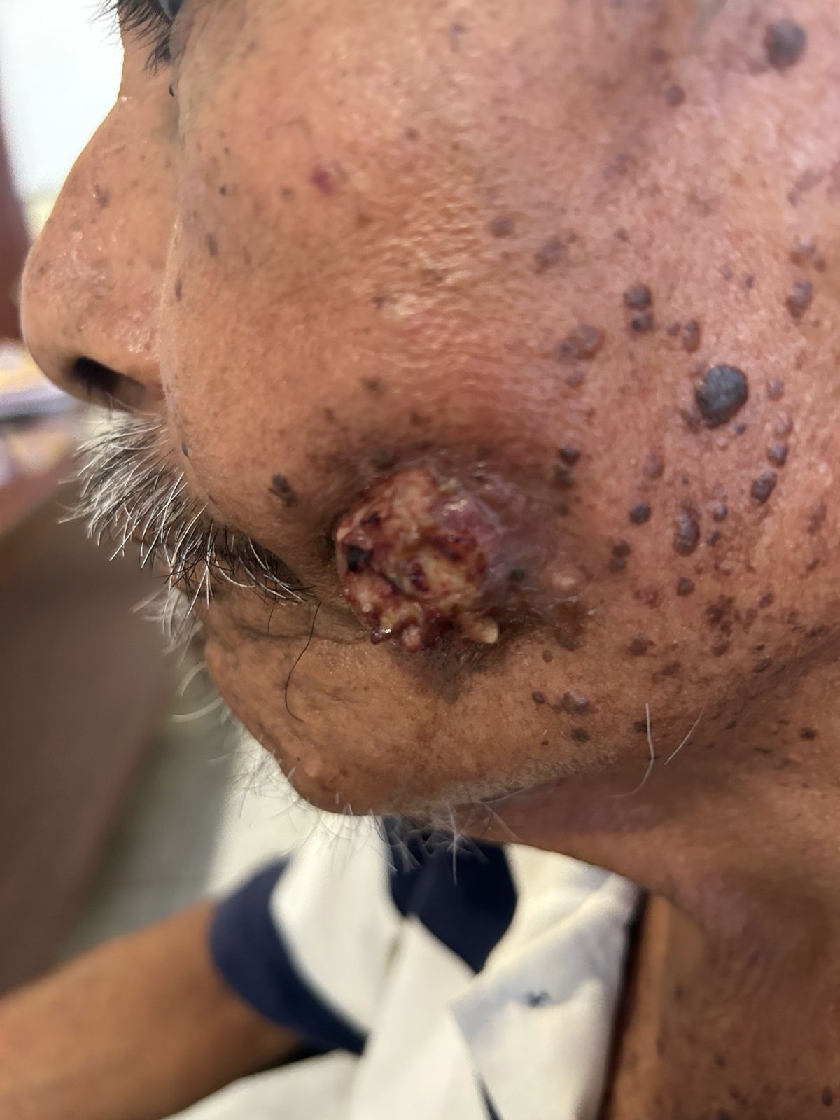 Barbara Guzman  Jiménez-15