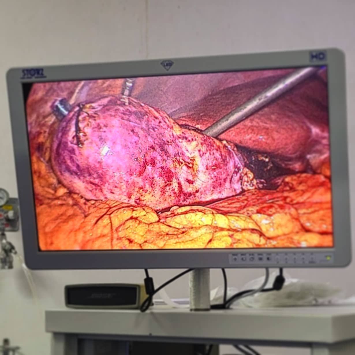 Edgar Alan De León Rojas-10