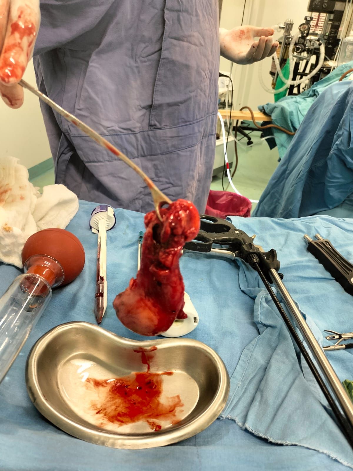 Horacio Paniagua Hernández-15