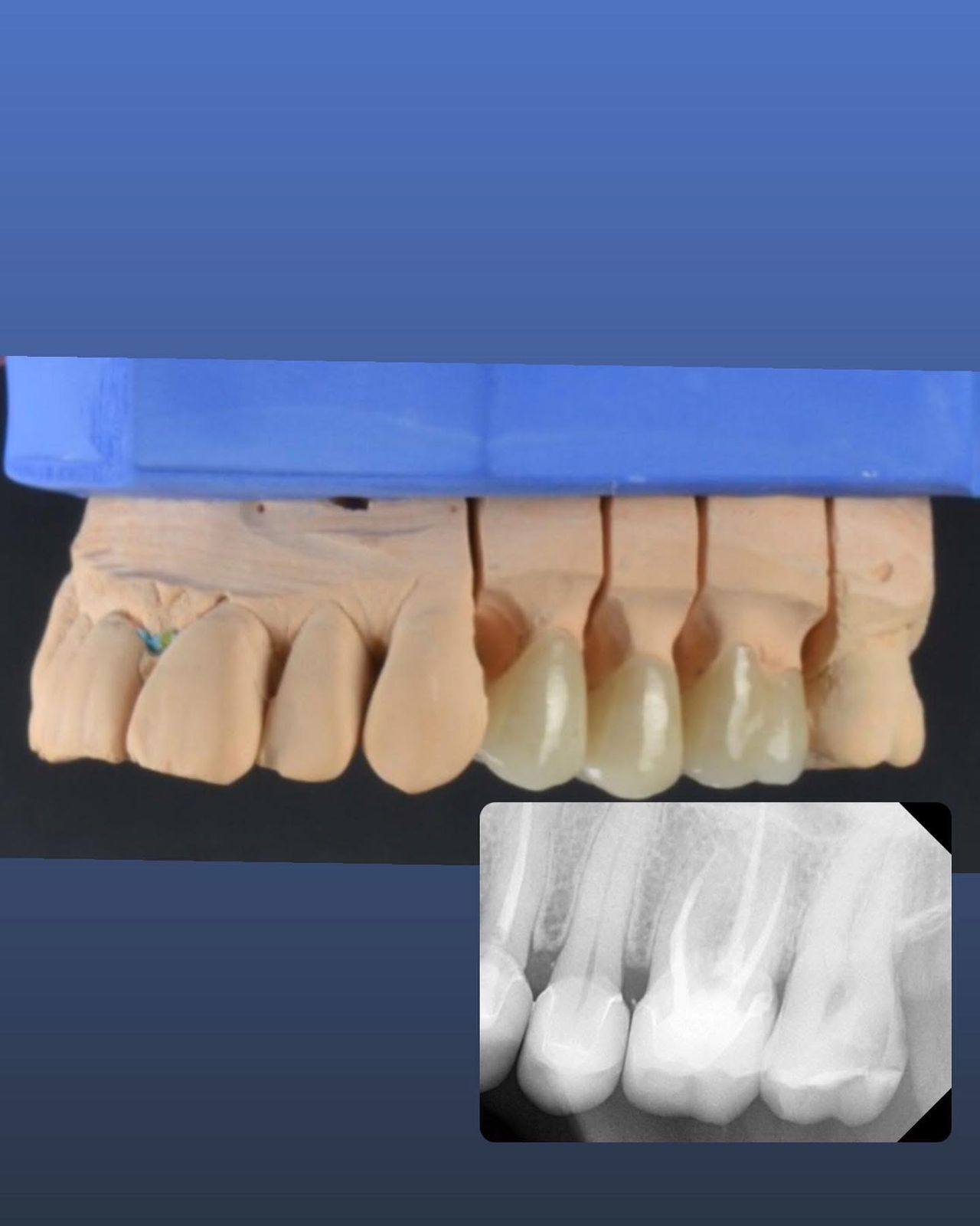 Francisco Jose Vives Serrano-33