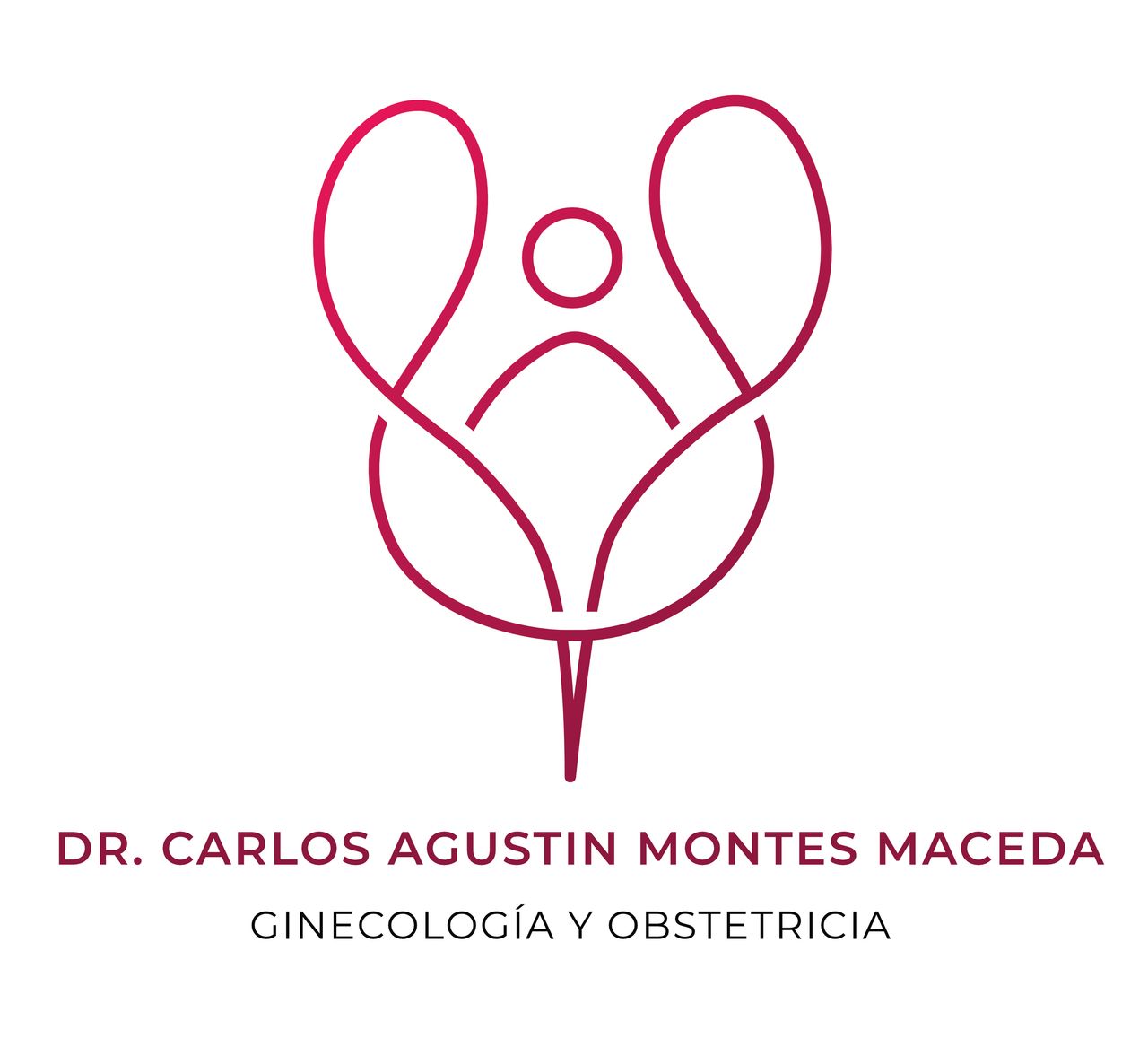 Carlos Agustin Montes Maceda-0