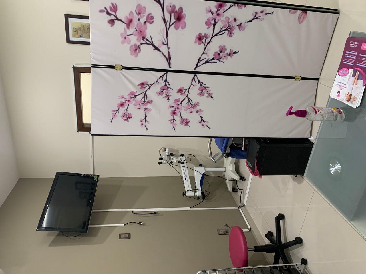 Mayra J. Carrillo Iñiguez-1