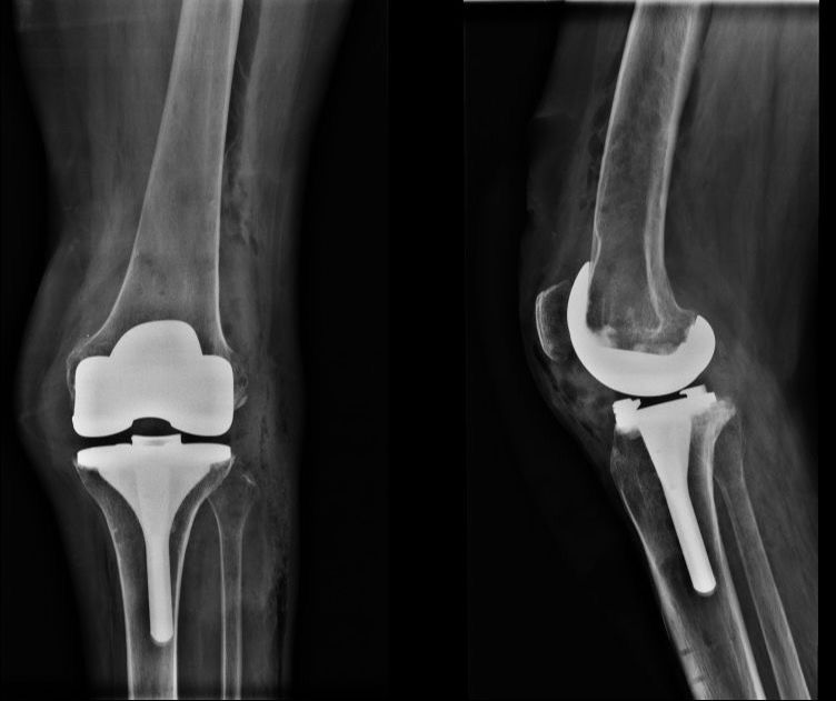 Alejandra Fuentes Martínez-11