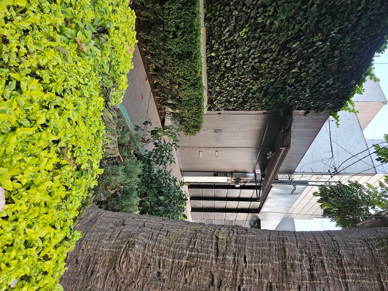 Ana Isabel Peralta Tovar-12