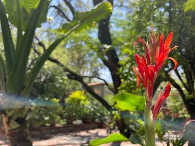 Trino José Baptista-3