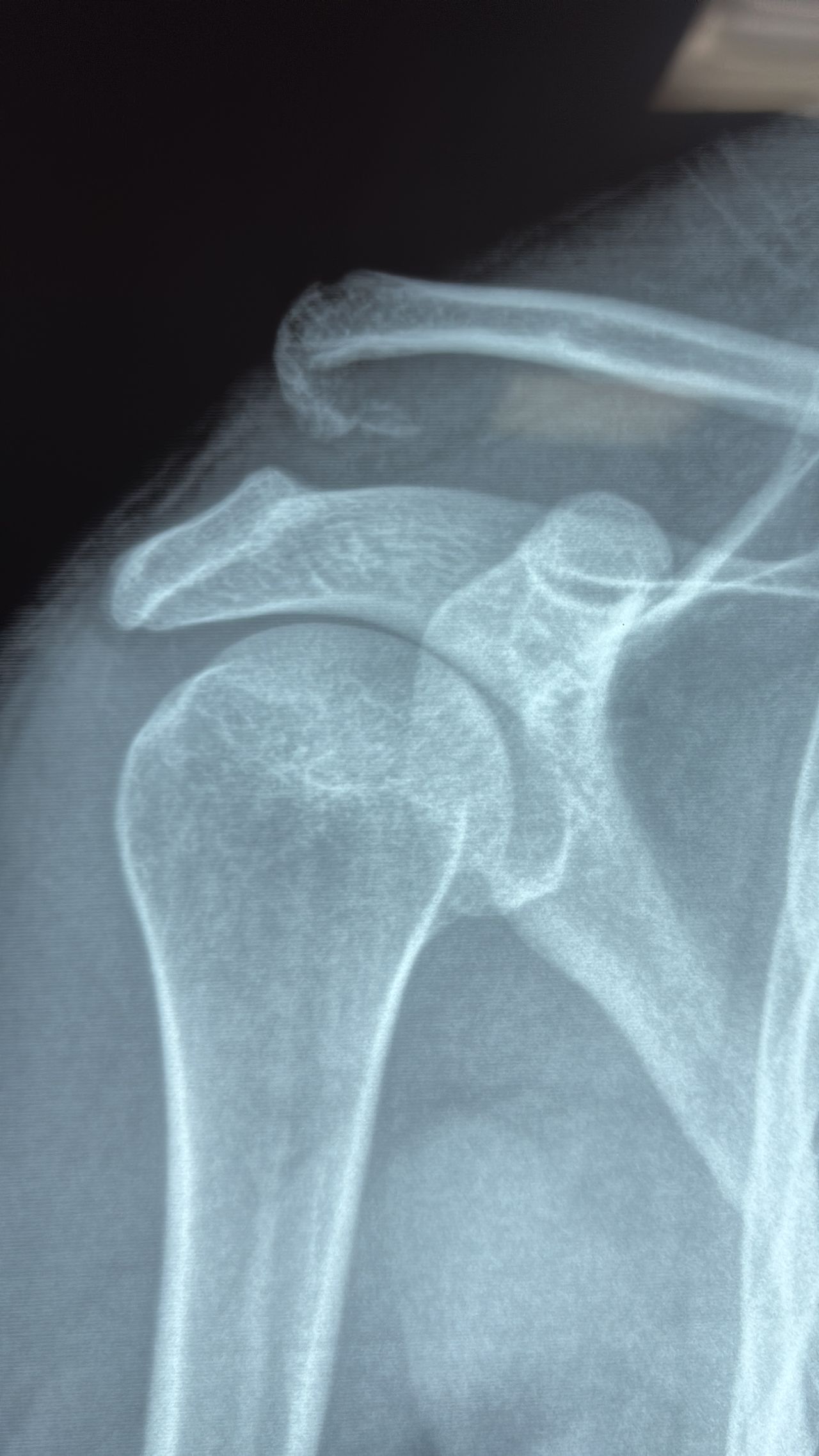 Jesus Manuel Gonzalez-9