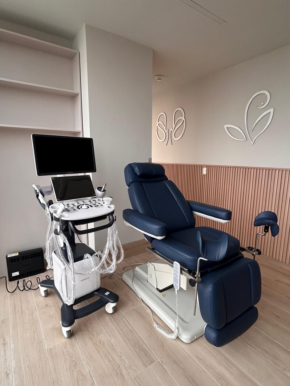 Paulina Treviño Villarreal-2