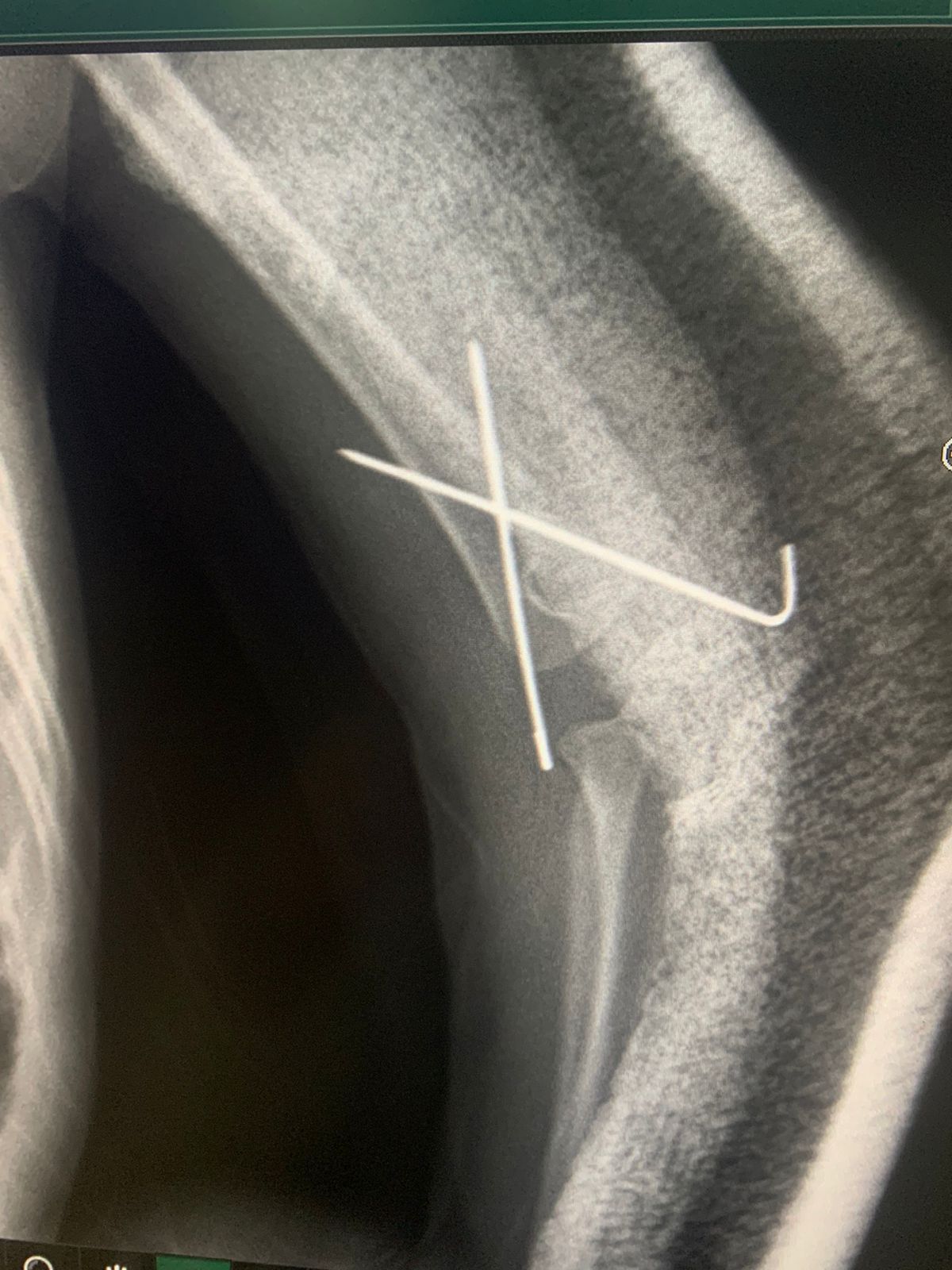 Jesus Manuel Gonzalez-15