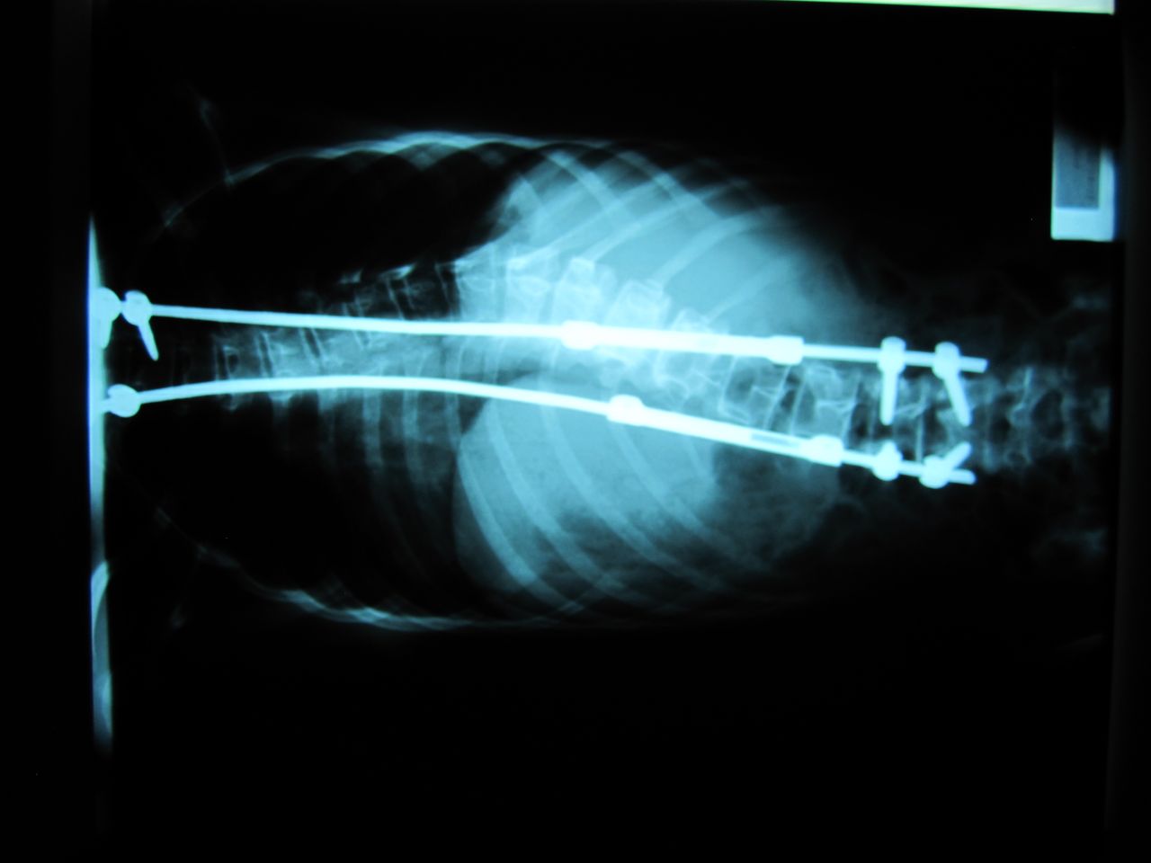 José Antonio Canales Najera-9