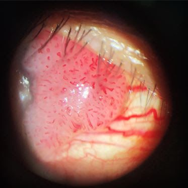 Azucena Aideé Mendoza Mayén-0