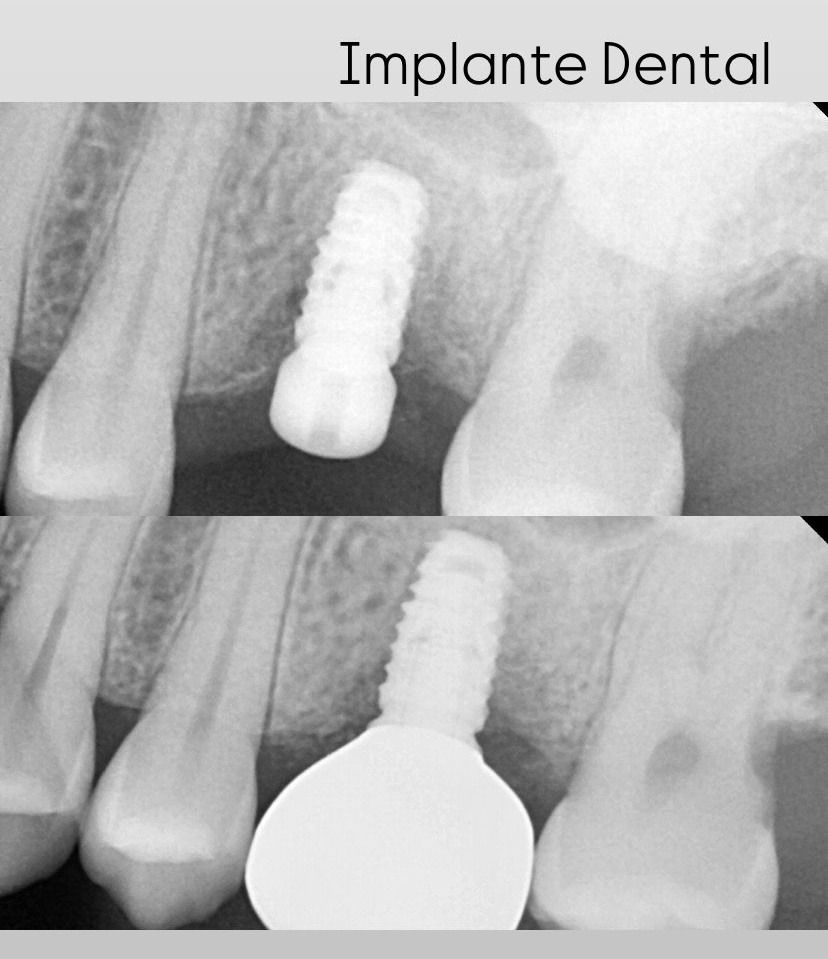 Francisco Jose Vives Serrano-39