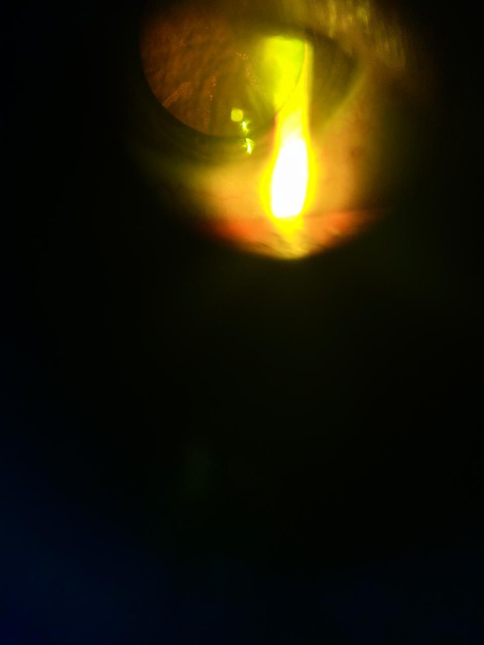 Daniel Martin Laguna Muñoz-38