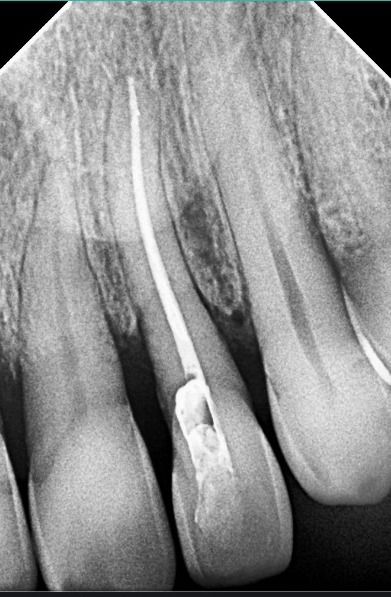 Vania Núñez Rosas-9