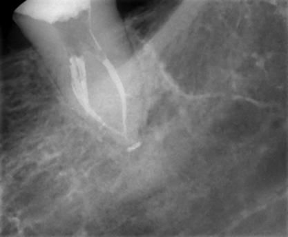 Xiuhnel Solorio Cuevas-21