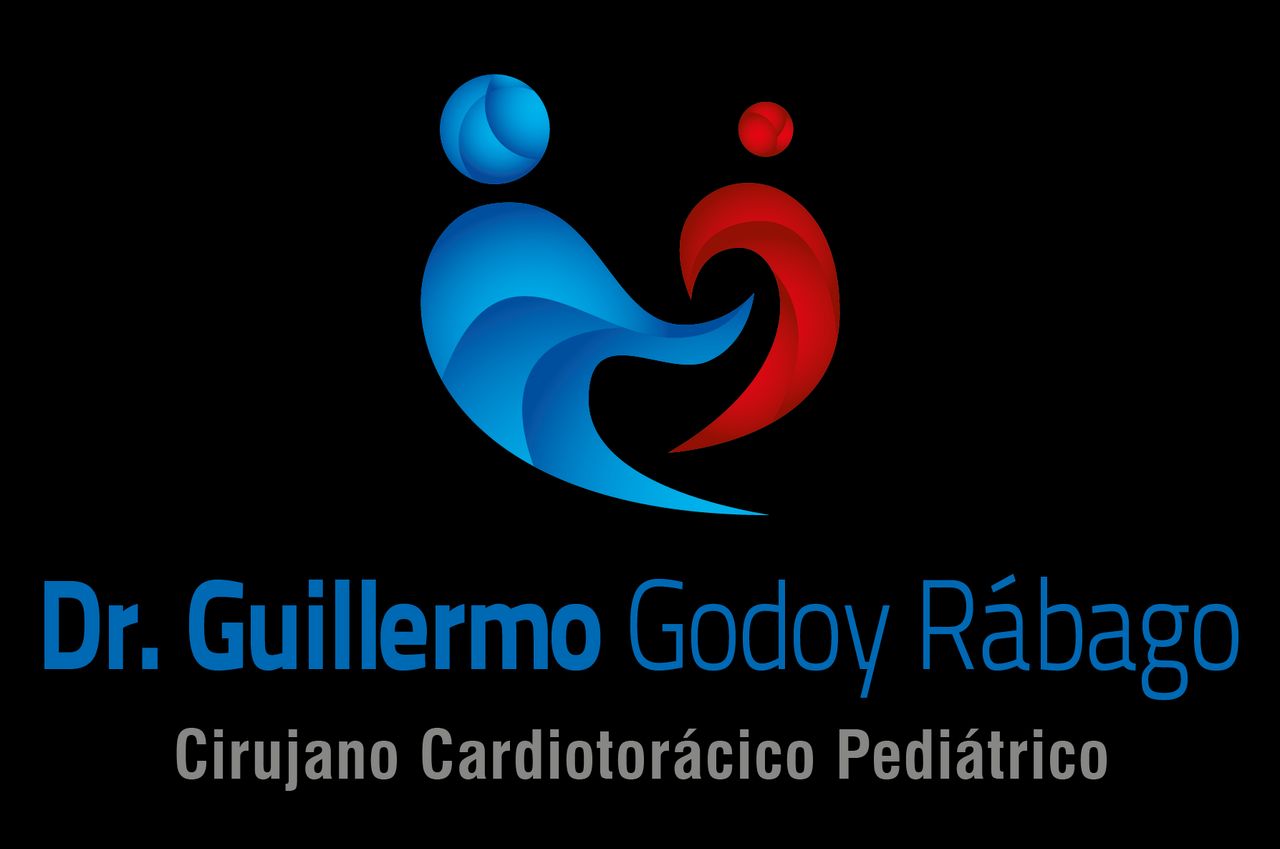 Guillermo Godoy Rábago-5