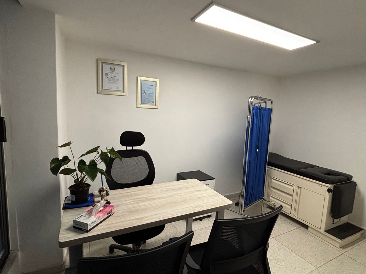 Adriana Martínez Diaz-5