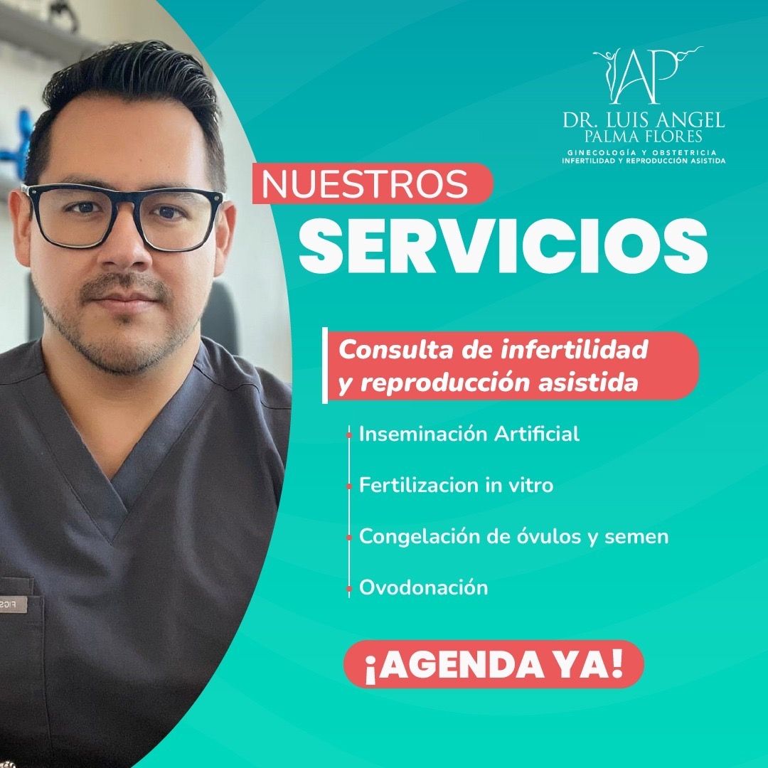 Luis Angel Palma Flores-2