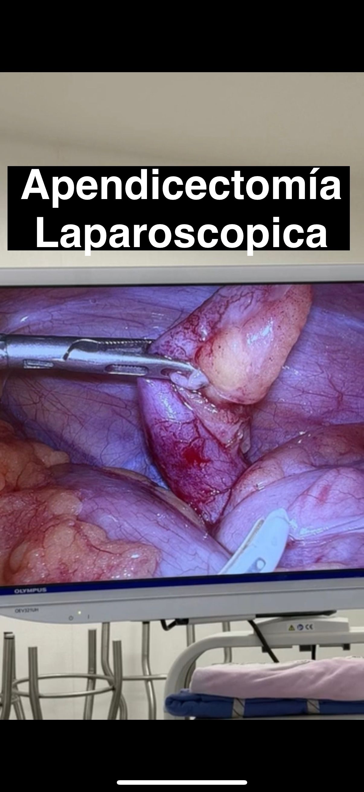 Arturo  Del Campo García -2