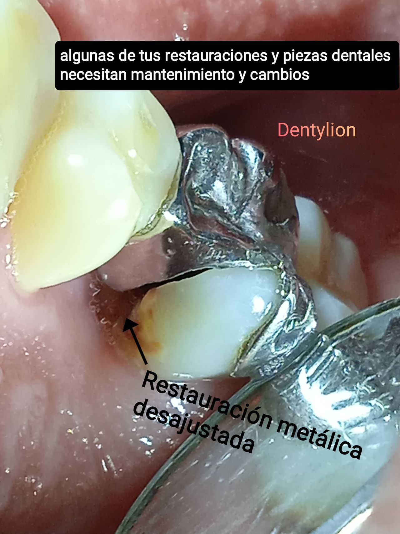 Jessica De La Barrera Valladolid-33