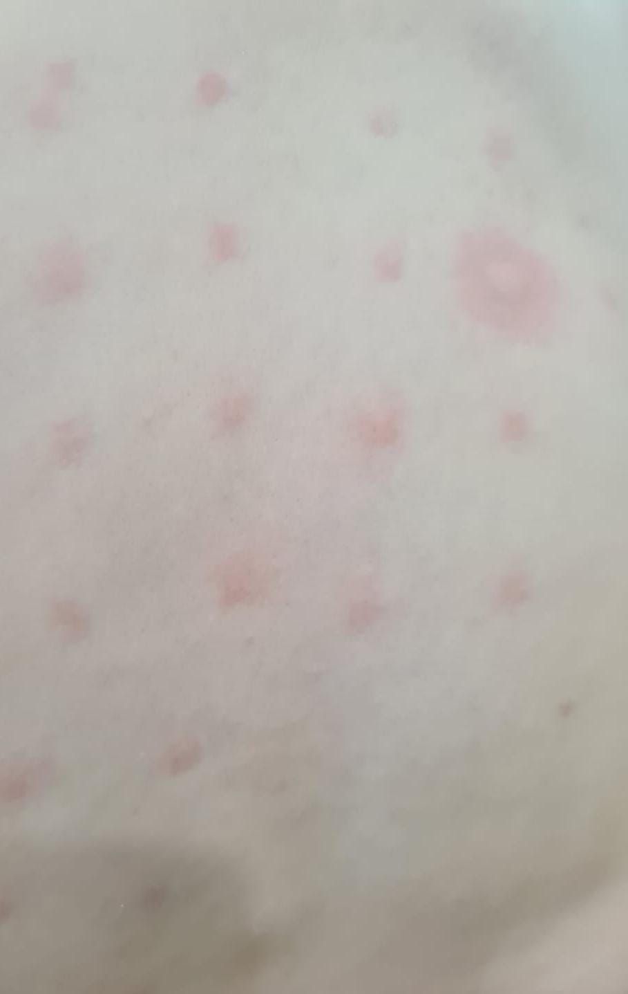 Odette Pons Martín Del Campo-1