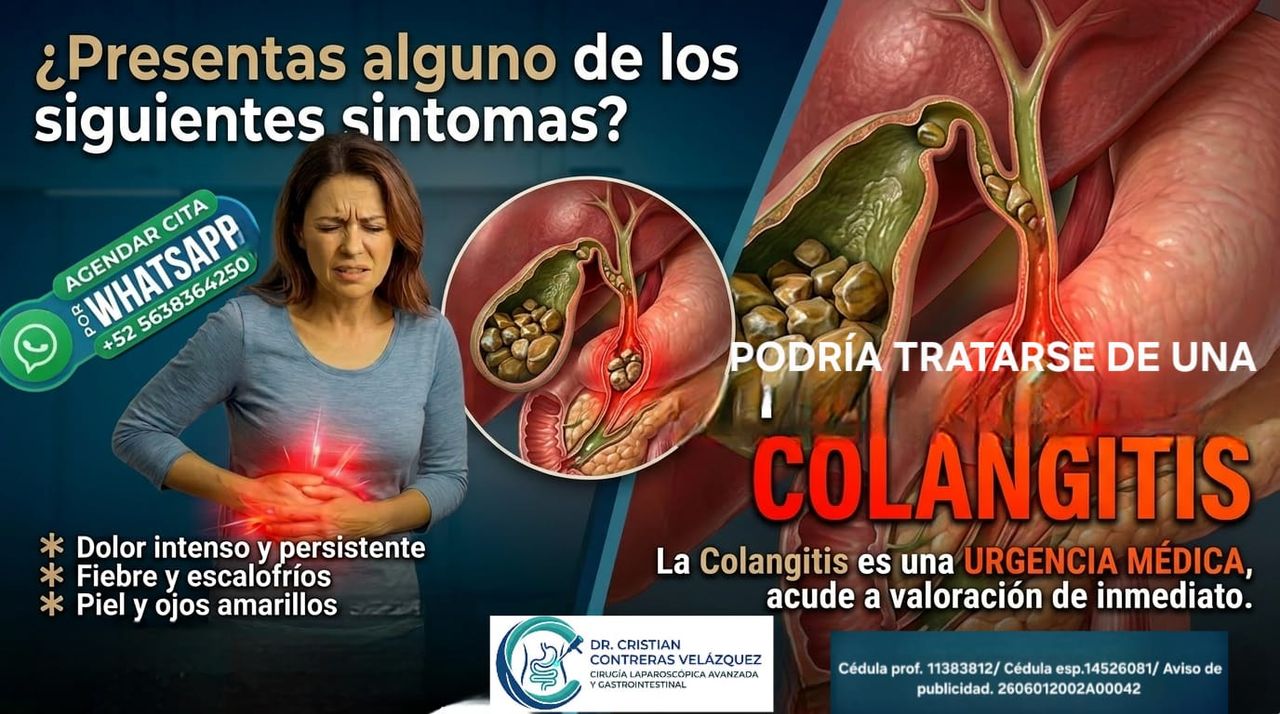 Cristian Contreras Velázquez-8