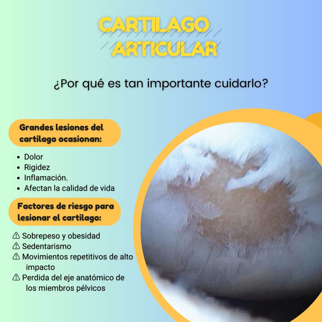 Sergio Espinosa Espinoza-4