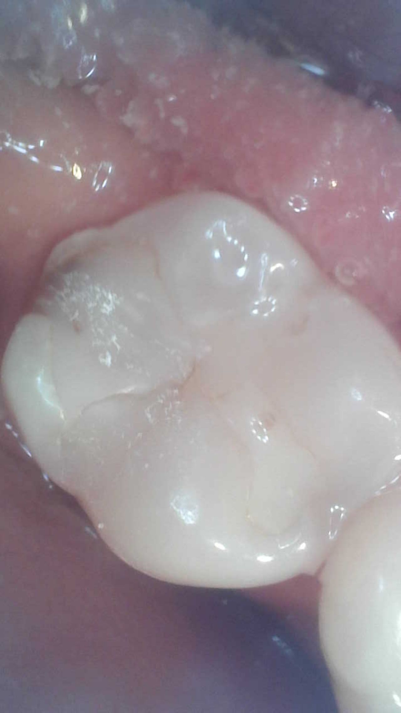 Yaneth Gutiérrez Sánchez-16