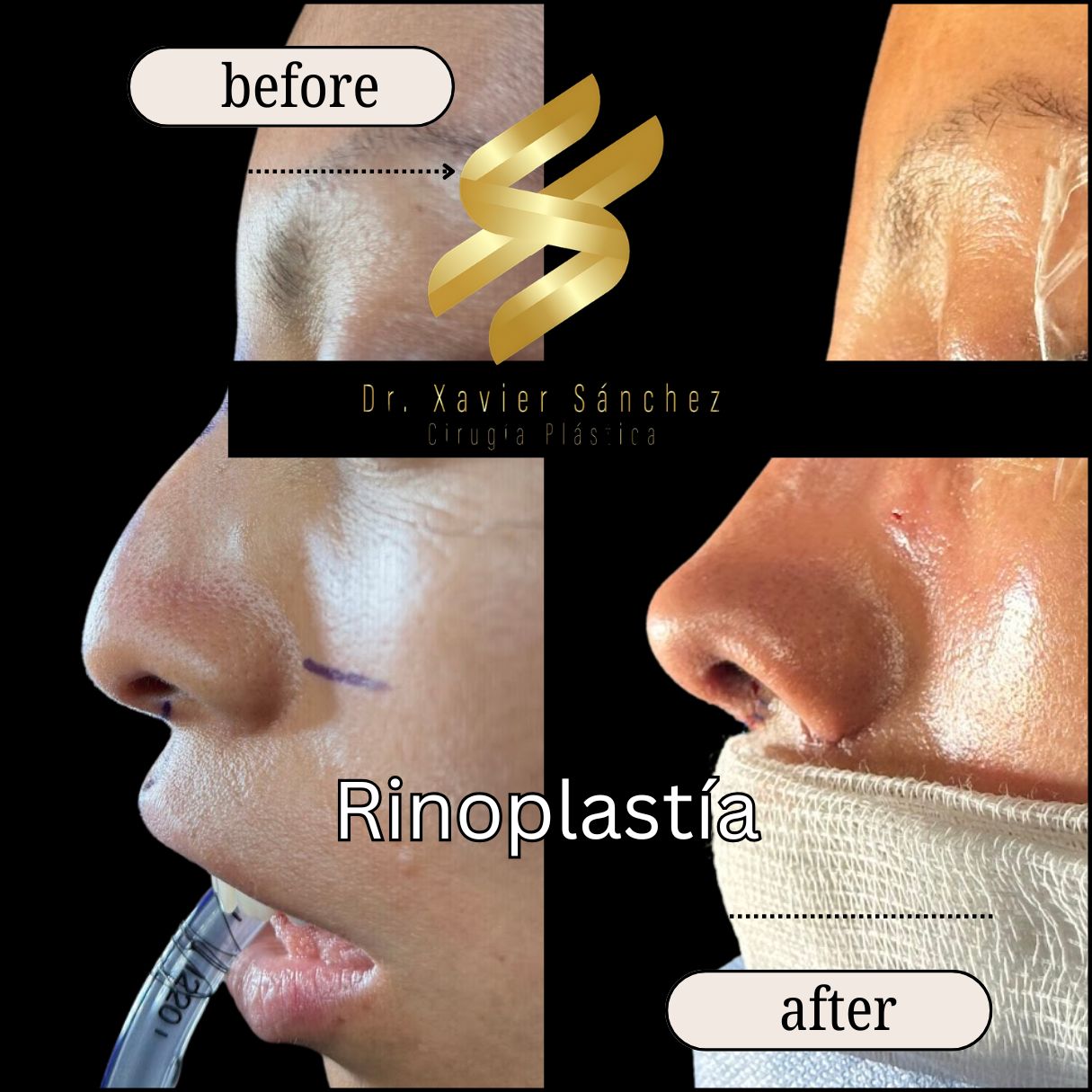 Xavier Sánchez García-12