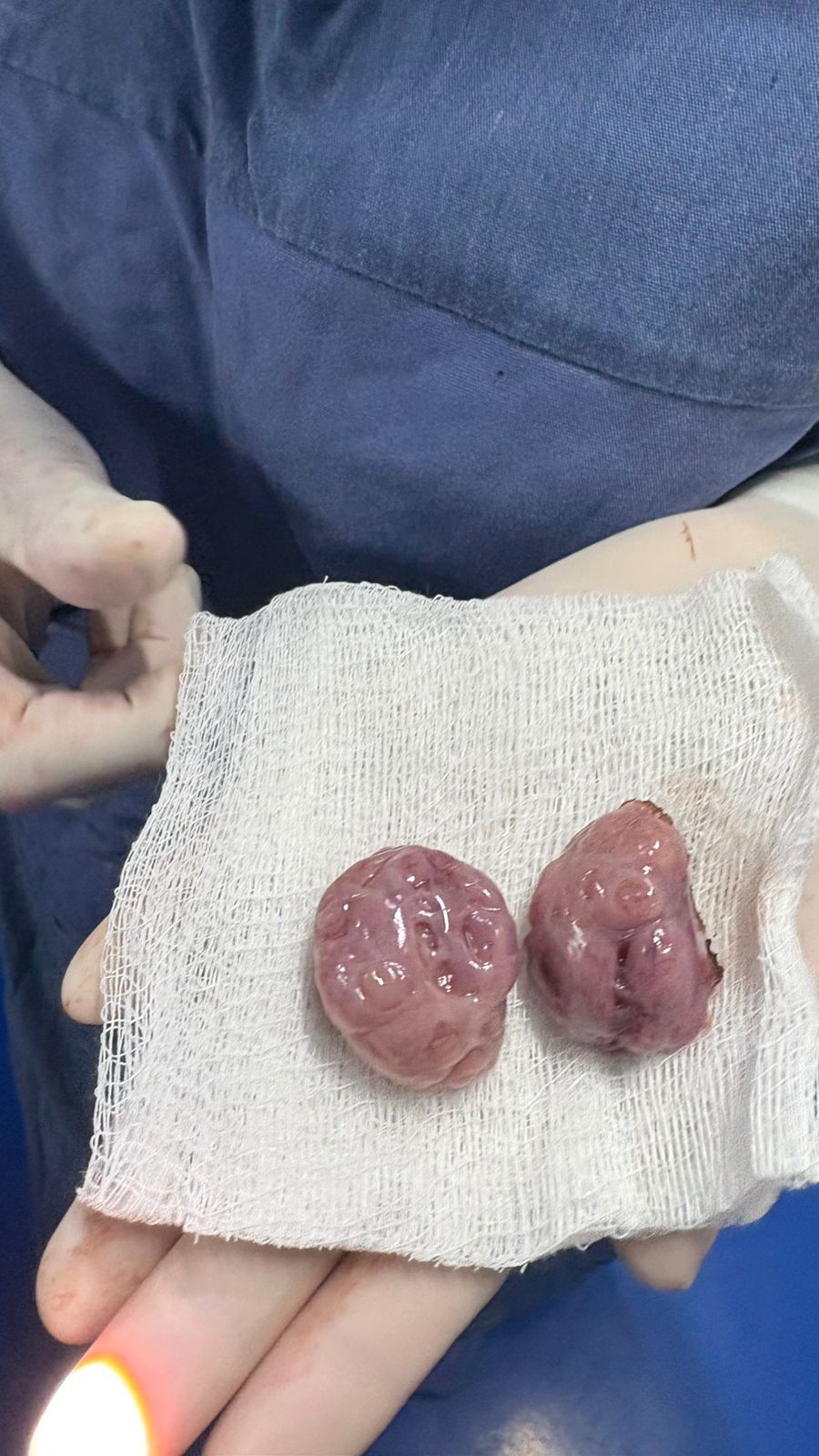 Azennet Rueda Rodríguez-11